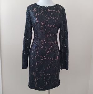 Endless Rose Lace Fitted Dress